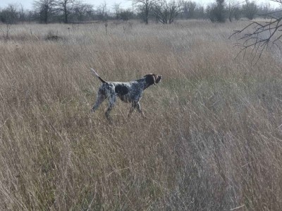 OHOTESTET Cilya (Охотэстет Циля)